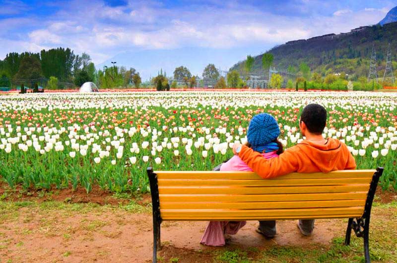 img/honeymoon-kashmir.png