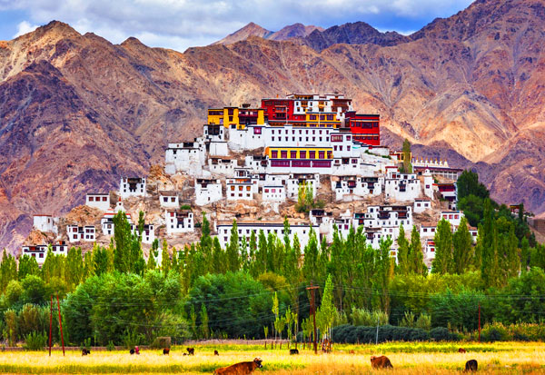 Explore Monasteries Of Ladakh