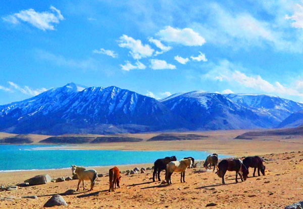Leh Tour Package