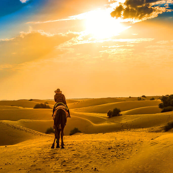 Rajasthan Tours
