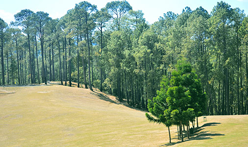 img/uttarakhand-tour/ranikhet.jpg